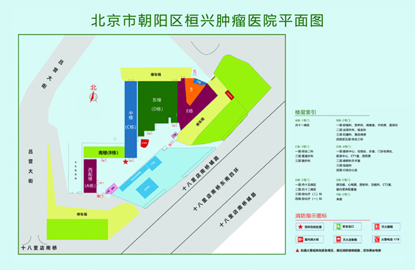 操死我骚视频北京市朝阳区桓兴肿瘤医院平面图